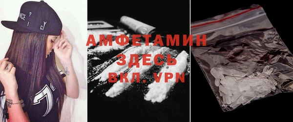стаф Нея