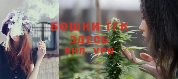 стаф Нея