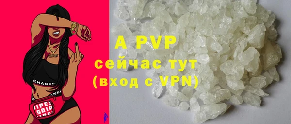 стаф Нея