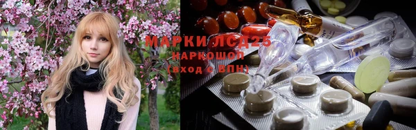 стаф Нея