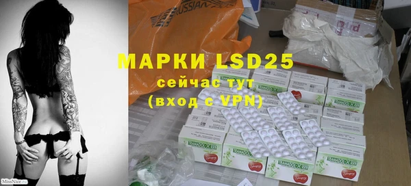 прущие грибы Абаза