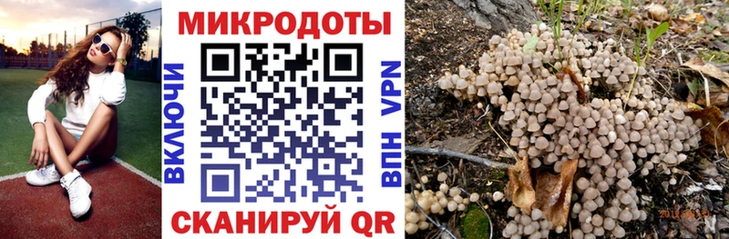 hydra как войти Сызрань Псилоцибиновые грибы прущие грибы