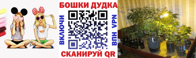 Бошки Шишки AK-47  Сызрань 